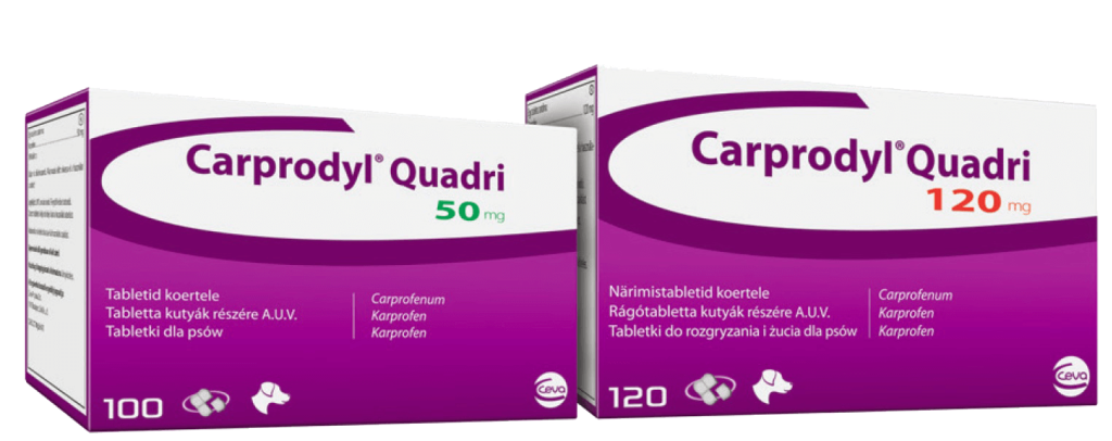 carprodyl-quadri_tiny
