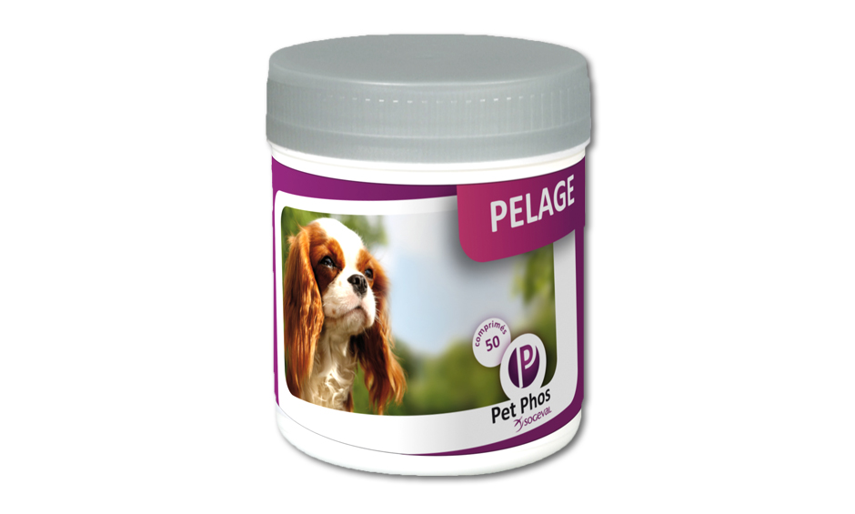 petphos_coat_dog_940x565