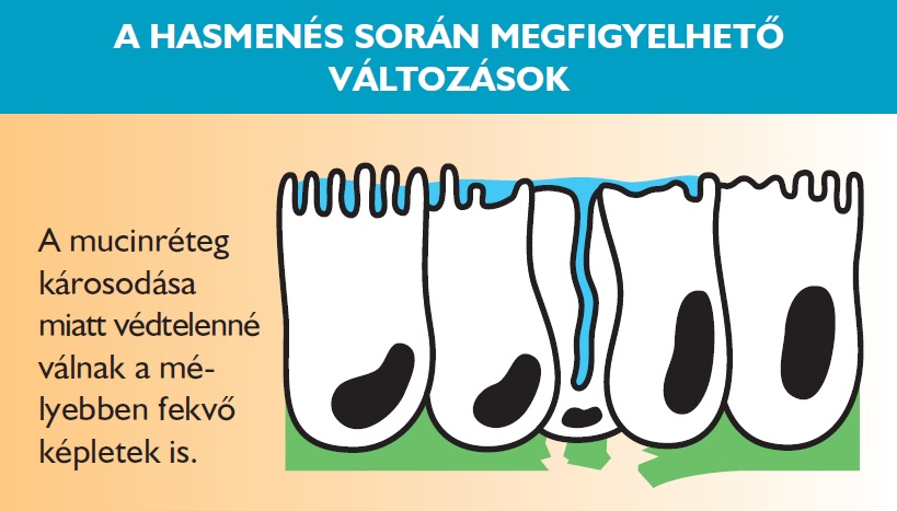 Diarsanyl a hesmenés során megfigyelhető változások