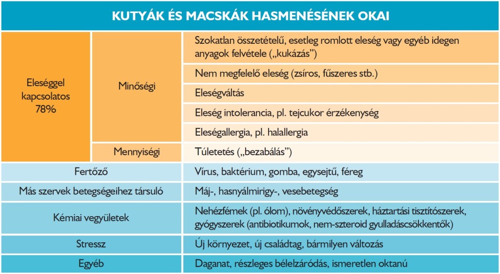 Diarsanyl a kutyák és macskák hasmenésének okai