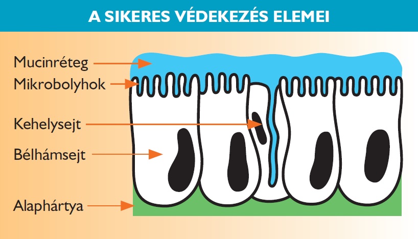 Diarsanyl a sikeres védekezés elemei