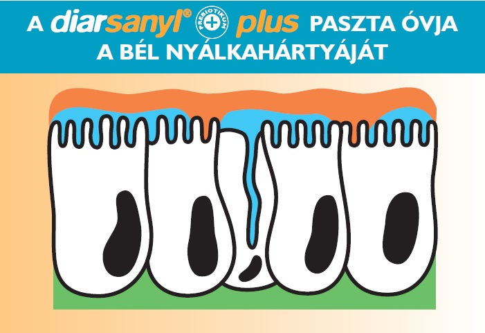 Diarsanyl paszta óvja a bél nyálkahártyáját