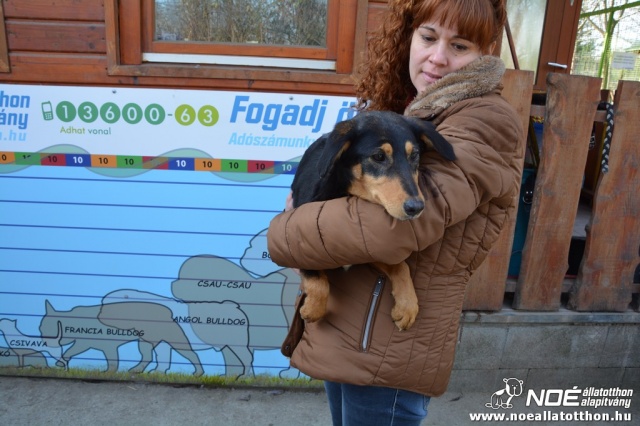 Zorka2