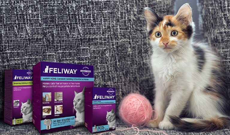 1226_feliway