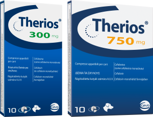 Therios 300mg 750 mg