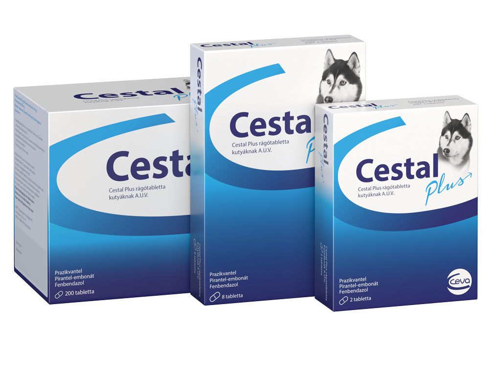 cestal plus fereghajto tabletta adagolasa