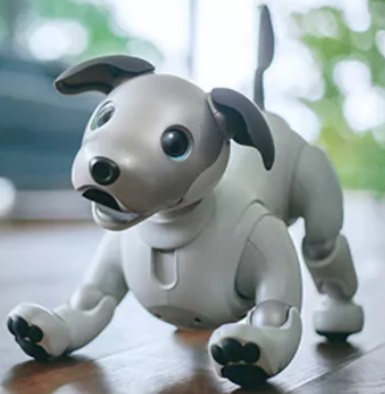 aibo robotkutya