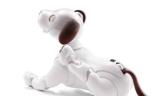 sony aibo