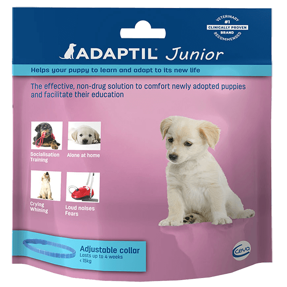 Adaptil-junior-collar-face-UK_570x570