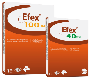 Efex-100-40mg-12cc-IT-tukr-mentes